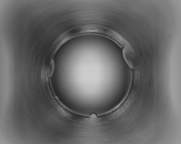 X0000113301377200909141238