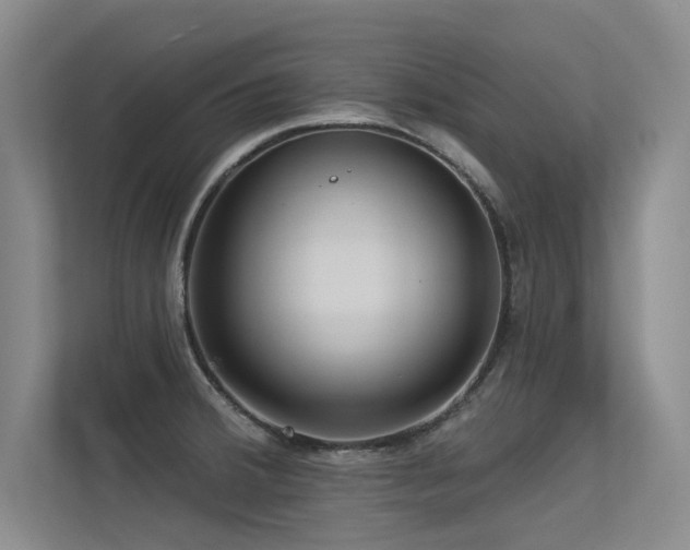 X0000113301380200909141238