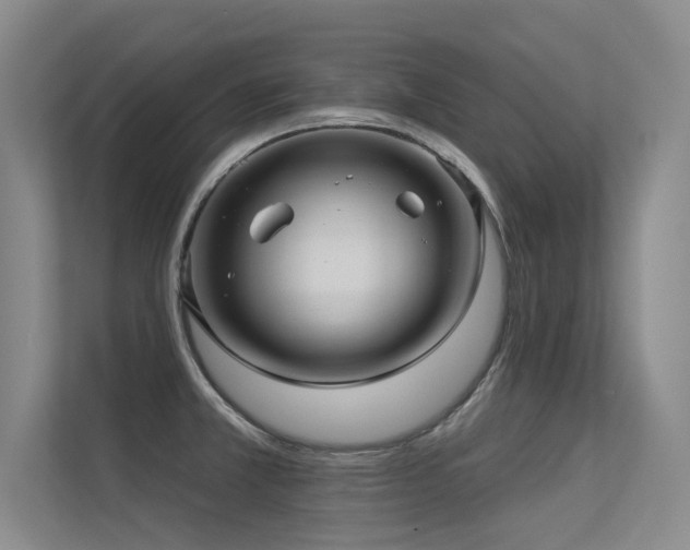 X0000113301381200909141238