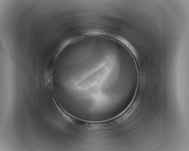 X0000113301385200909141238