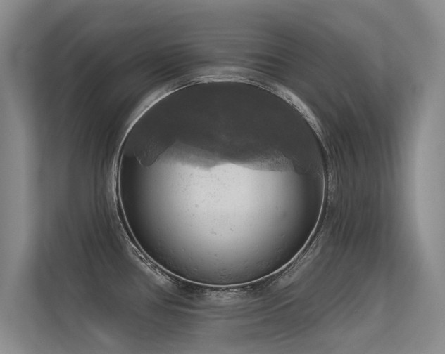 X0000113301386200909141238