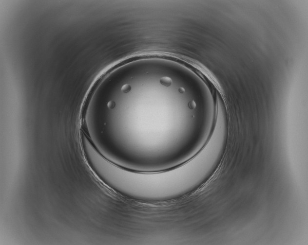 X0000113301388200909141238