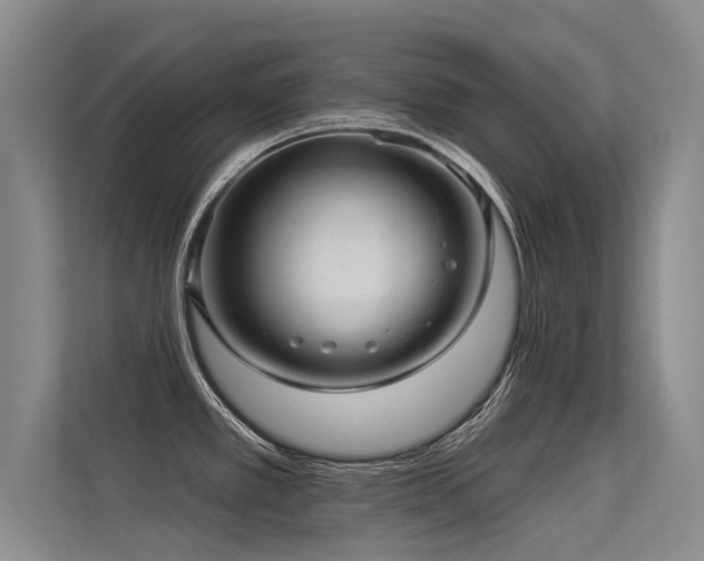 X0000113301389200909141238