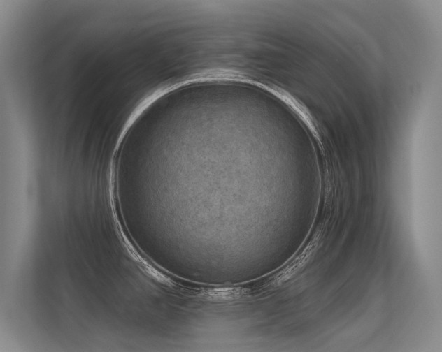 X0000113301390200909141238