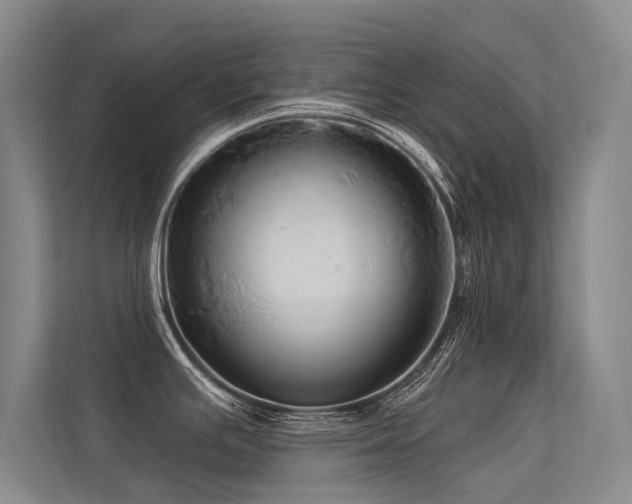 X0000113301391200909141238