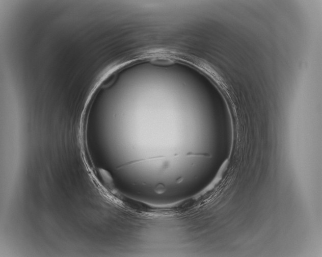 X0000113301392200909141238