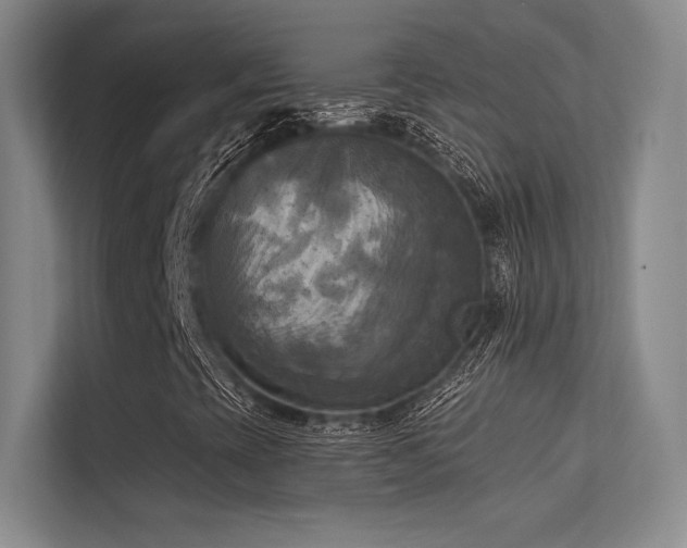 X0000113301393200909141237
