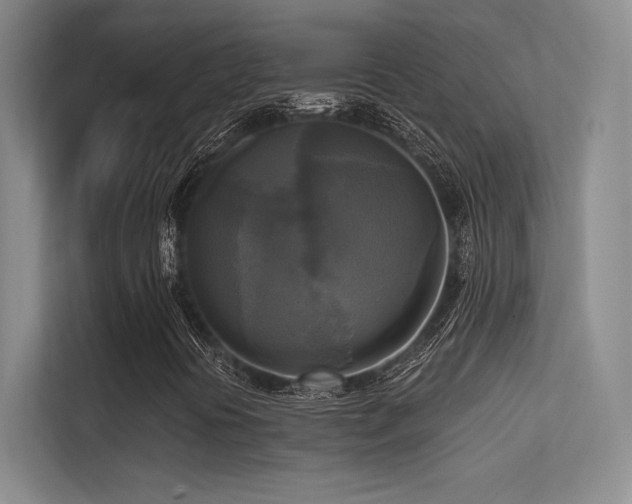 X0000113301394200909141237