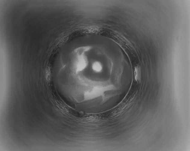 X0000113301395200909141237