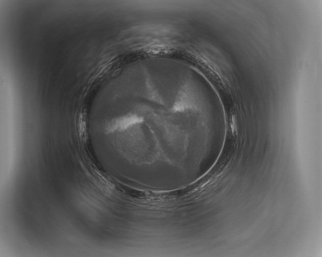 X0000113301396200909141237