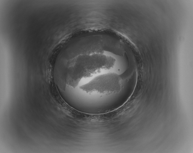 X0000113301399200909141237
