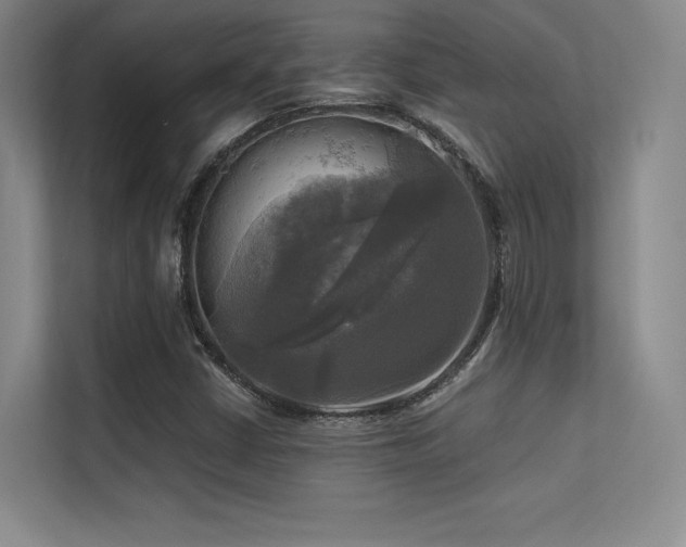 X0000113301402200909141237