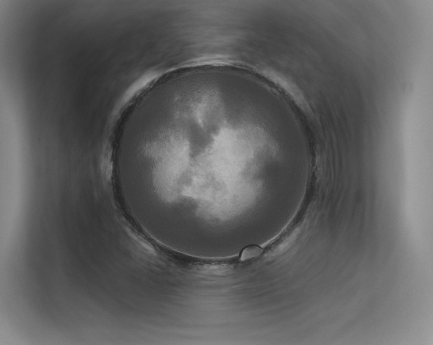 X0000113301406200909141238