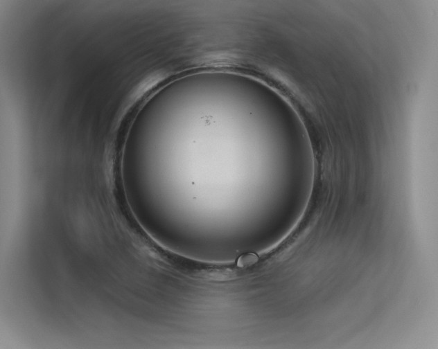 X0000113301410200909141238