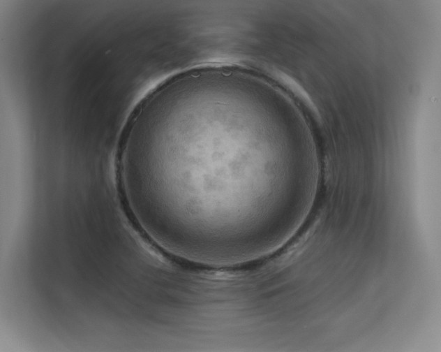 X0000113301412200909141238