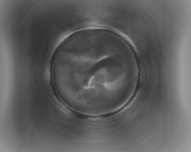 X0000113301415200909141238