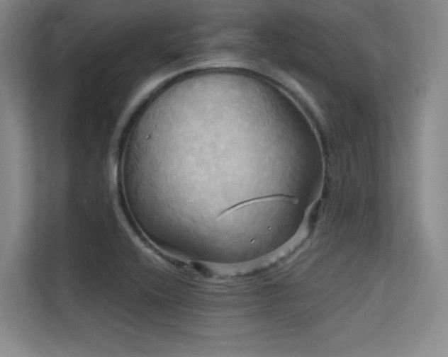 X0000113301416200909141238
