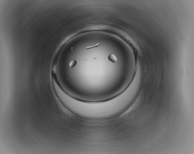 X0000113301417200909141238
