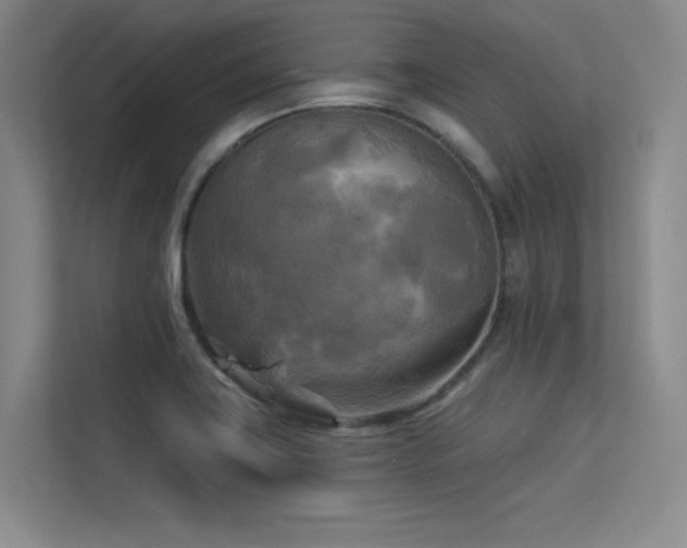 X0000113301419200909141238