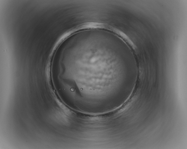 X0000113301421200909141238