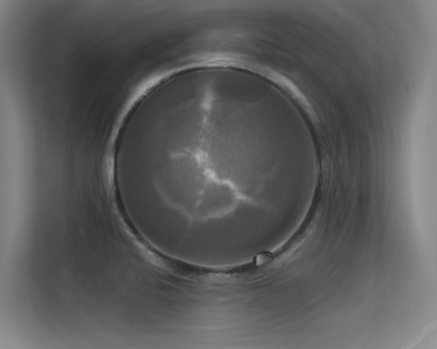 X0000113301424200909141238