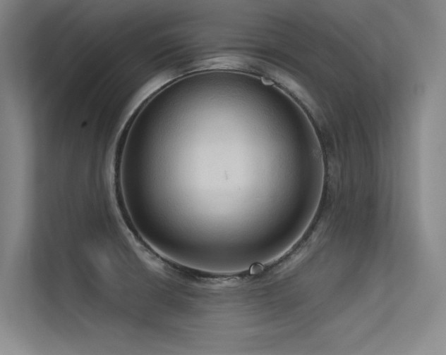 X0000113301426200909141238