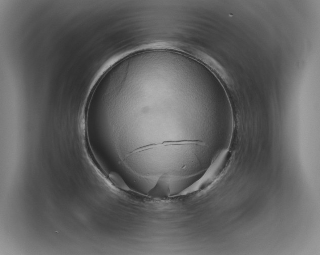 X0000113301428200909141238