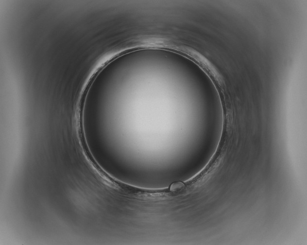 X0000113301432200909141238