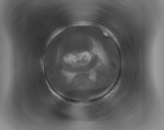 X0000113301433200909141238