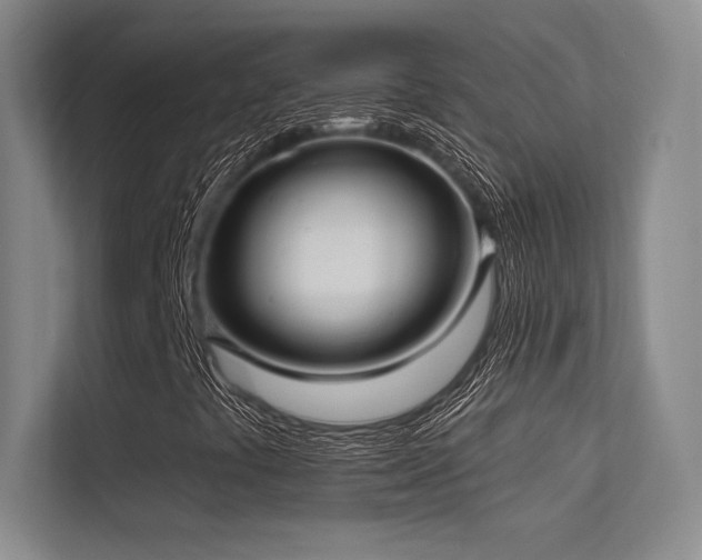 X0000113301441200909141237