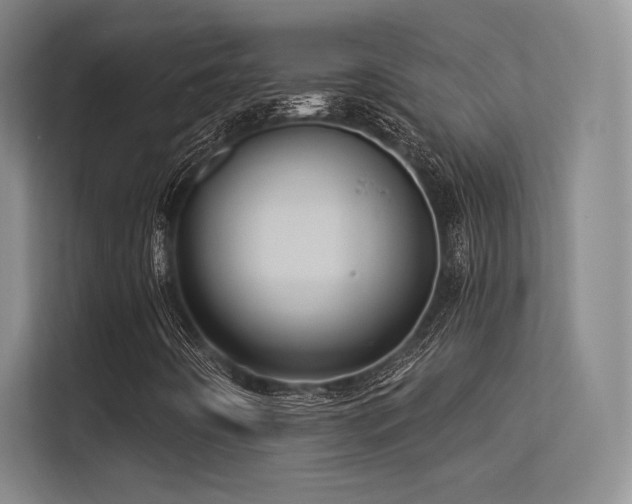 X0000113301442200909141237