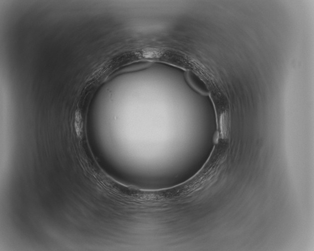 X0000113301443200909141237