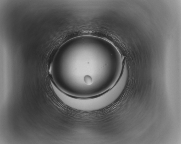 X0000113301444200909141237