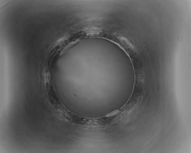 X0000113301445200909141237