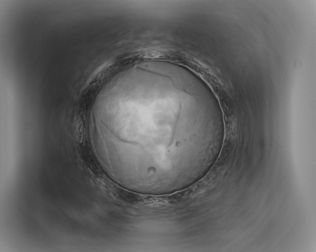 X0000113301446200909141237