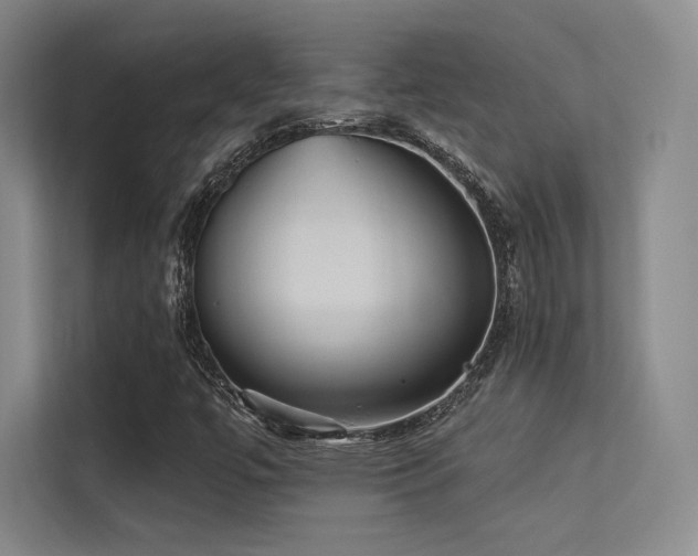 X0000113301447200909141237