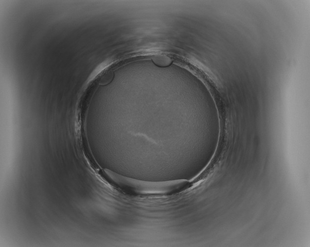 X0000113301450200909141237