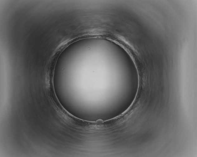 X0000113301451200909141237