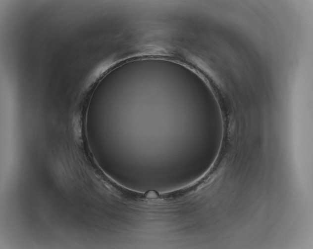 X0000113301455200909141237