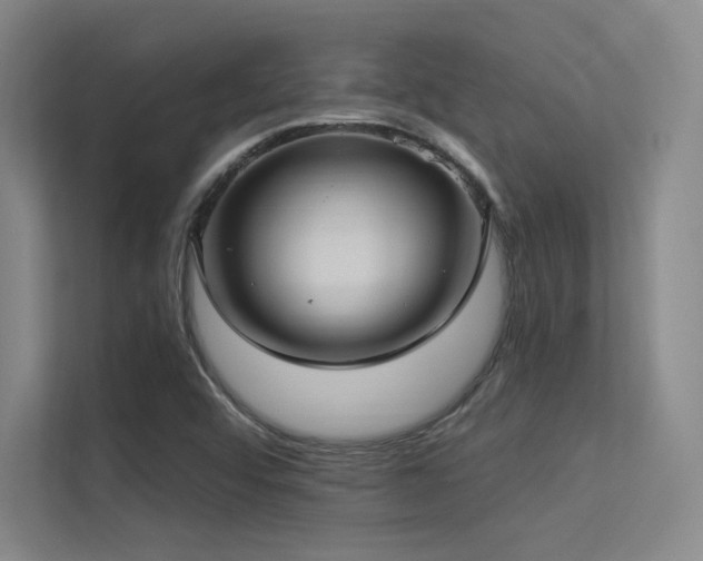 X0000113301456200909141237