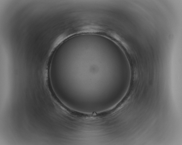 X0000113301459200909141237
