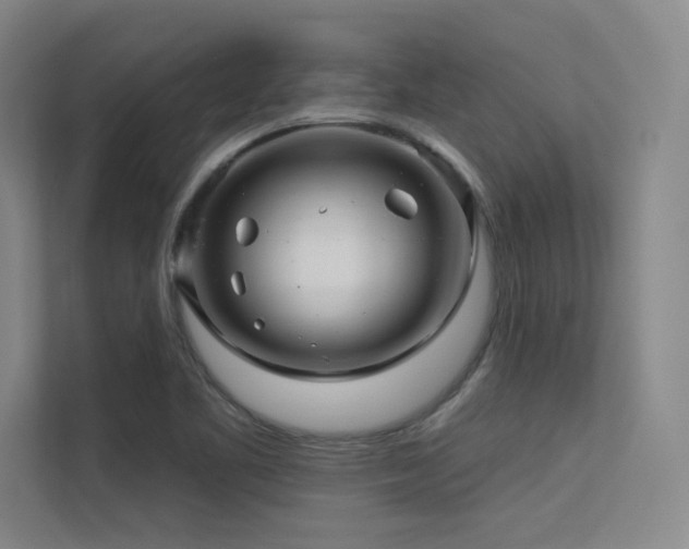X0000113301461200909141237