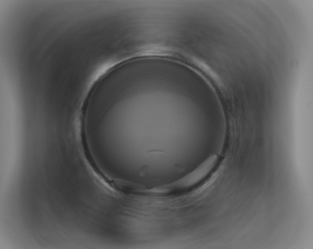 X0000113301463200909141237