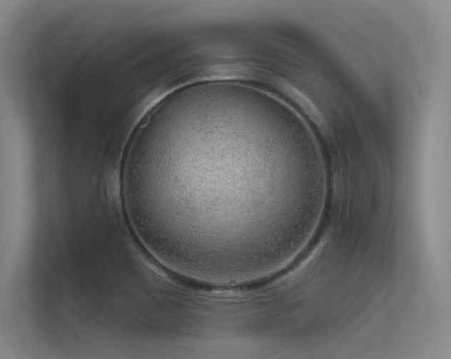 X0000113301465200909141237