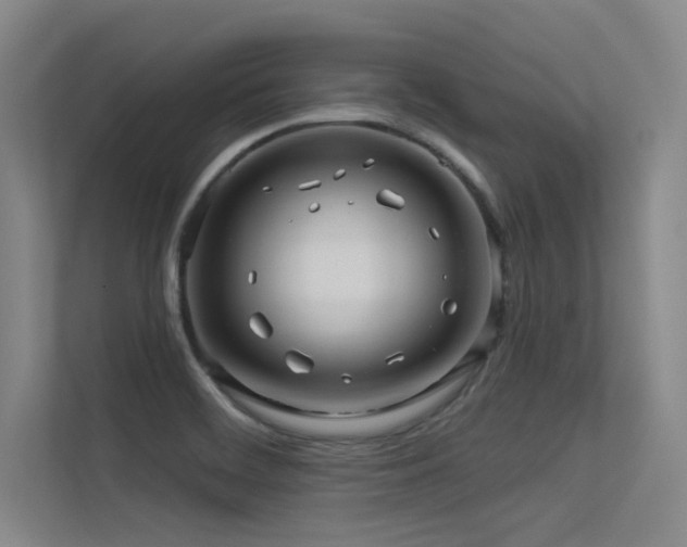 X0000113301468200909141237