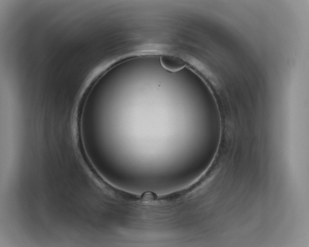 X0000113301469200909141237