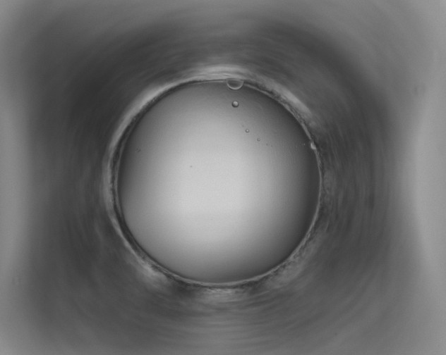 X0000113301470200909141237