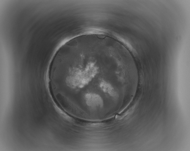 X0000113301471200909141237