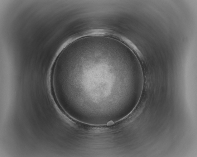 X0000113301475200909141237