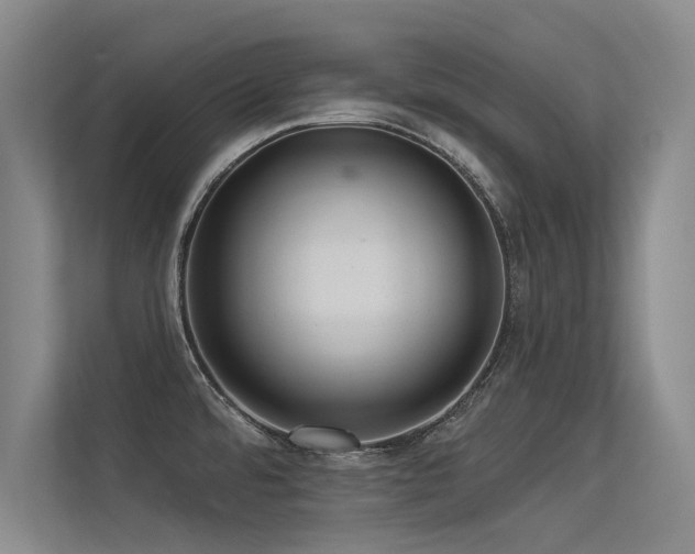 X0000113301480200909141237